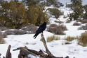 Canyonlands26012010 (182)